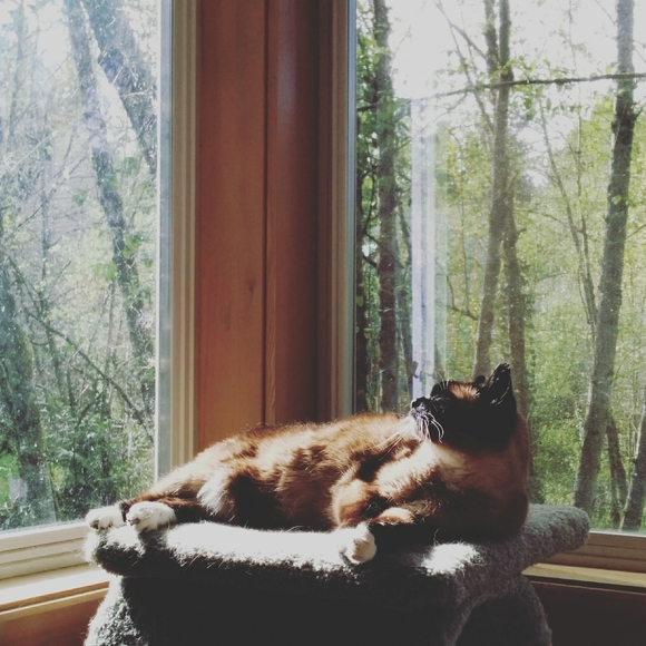 Meet your Posher, Kristin - Picture 3 of 3